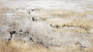 Janvier sur l'estran